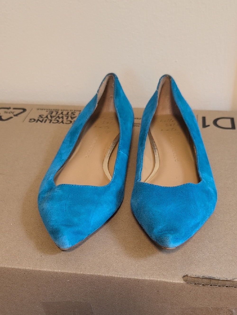 Banana Republic Teal Suede Pointed Toe Flats